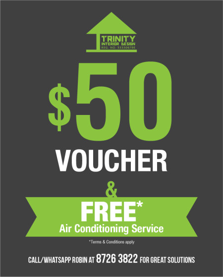 Trinity Flyer FDSG Page-06