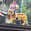 Zmde 2