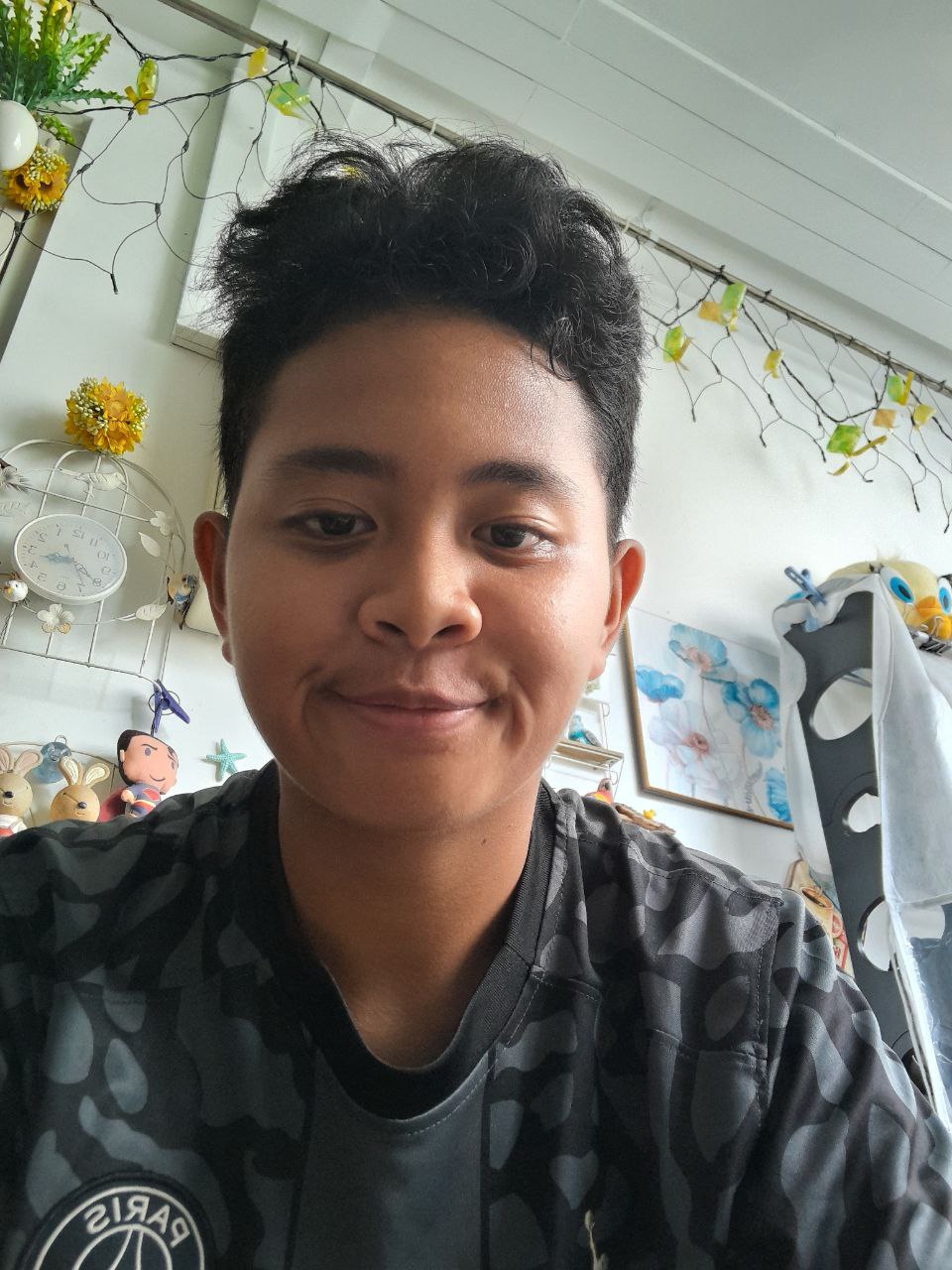 Amirul Anaqee